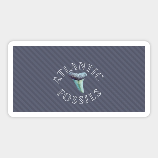Grey Striped Nautical Light Blue Atlantic Fossils Shark Tooth Print Sticker by AtlanticFossils